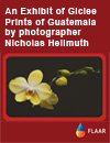 Exnibit of Giclee Prints of Guatemala