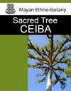 Sacred Tree Ceiba