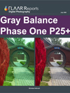 Gray Balance Phase One 25+