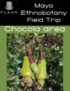 Etnobotany_field_trip_to_Chocola