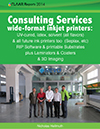 Consulting Services