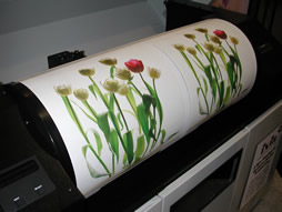 Iris giclee fine art wide format printer