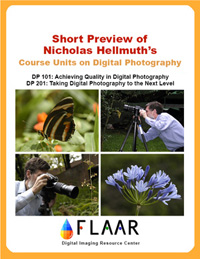 abstract of all flaar reports