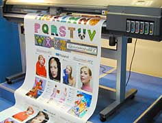 Roland CamJet wide format color vinyl printer cutter