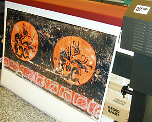Colorspan being test at flaar offices