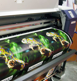 shuffle Sprællemand kimplante Wallpaper printer from Converd and Yuhan-Kimberly no longer available but  printers from MTEX are more advanced, reviews by Nicholas Hellmuth, FLAAR  Reports.